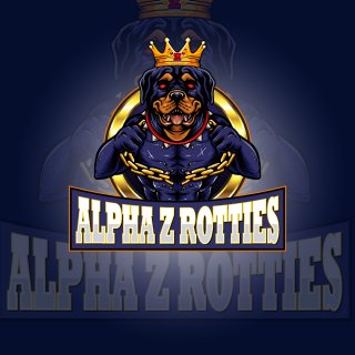 Logo design sample